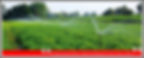 “Professional Water Well Drilling Services since 1967” | Cottage at a lake