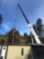 cranetreeremoval1