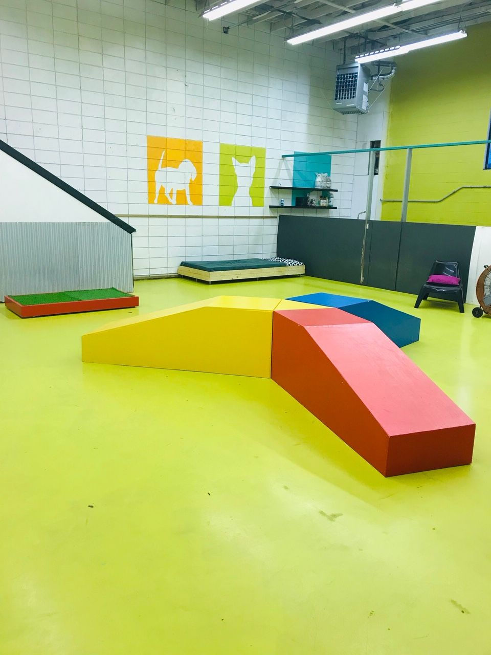 dog's daycare hall
