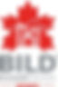 bild logo