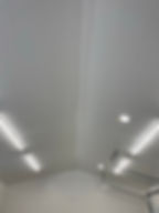 Ceiling lights