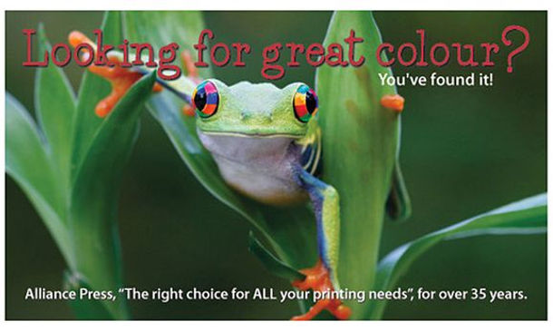 Letterhead, envelope, business cards, folder