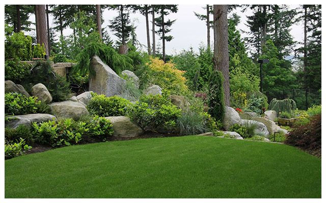 landscaped yard