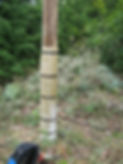 wooden pole
