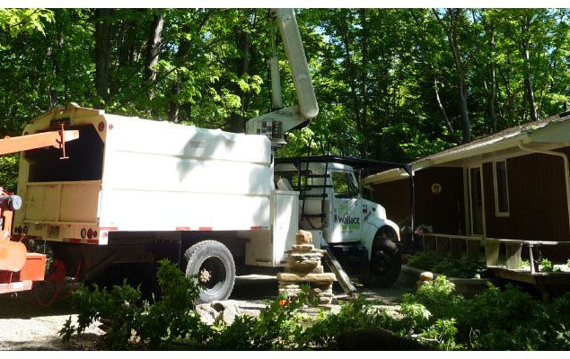 Wallace Tree Service truck