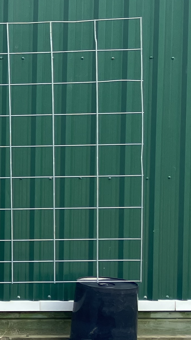 Thumbnail: Cattle Panel 16ft x 50”