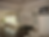 2627934