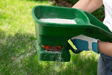 A person spreading fertilizer in the garden