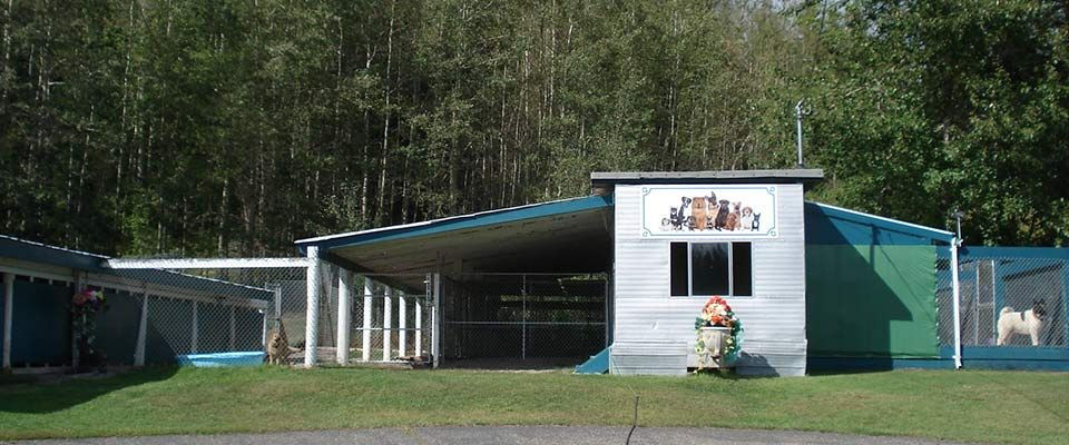 kennel