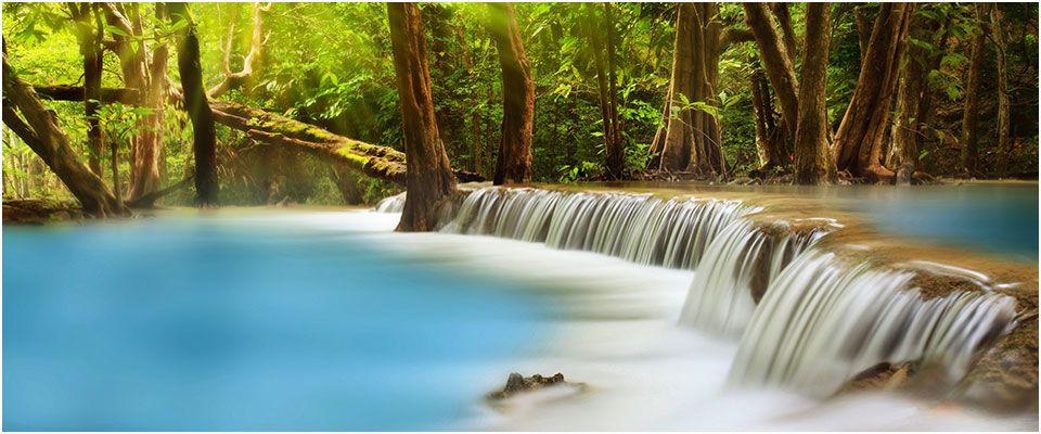 Natural stream in forest