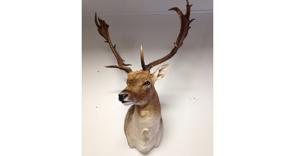 oddball mounts
