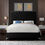 Thumbnail: Jocelynn Tufted Upholstered Low Profile Platform Bed Black In King