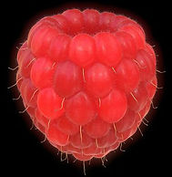 Framboise