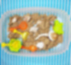An image of a small tub containing sand, toys, and seashells