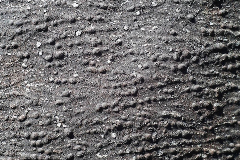 GRAVEL MEMBRANE