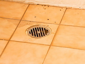 Why Is There Water Coming Out of My Basement Drain?