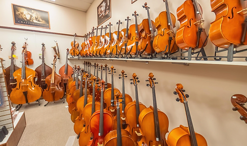 Rows of beautiful violins, violas, cellos, and double basses in store.