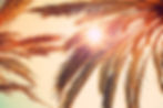 bgImage