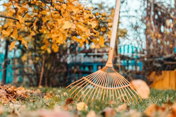 A photo of a person cleaning dried and fallen leaves from a garden