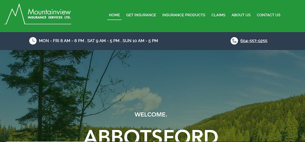 Insurance Agents & Brokers Website