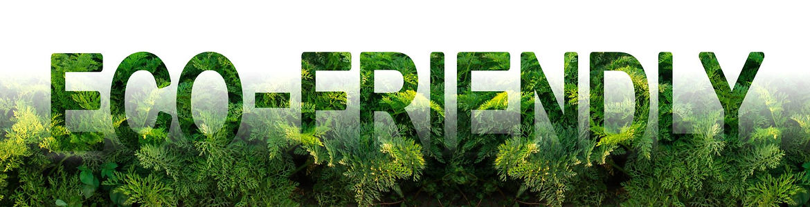 The inscription Eco-friendly on the background of a carrot plantation. Environmentally friendly harvest, quality control