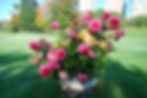Flemingdon Park Golf Club10