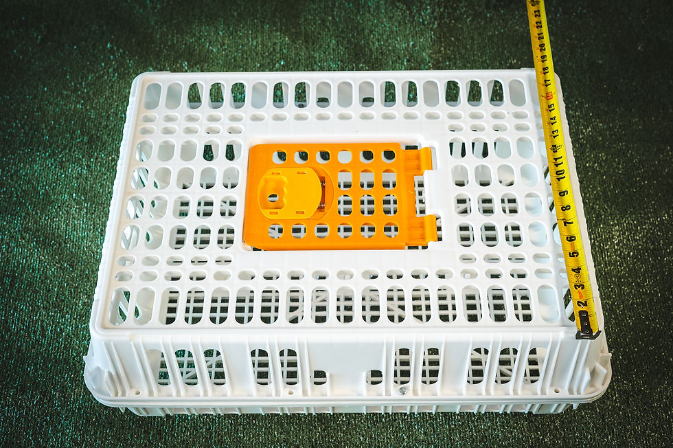 Thumbnail: Poultry Crates