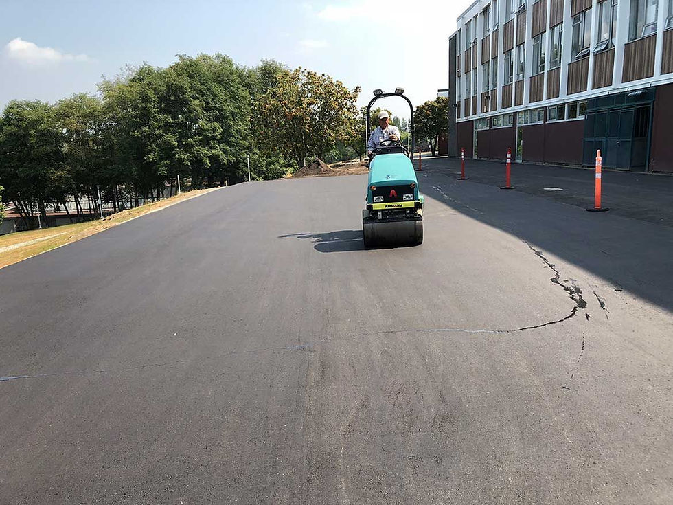 man on a mini road roller