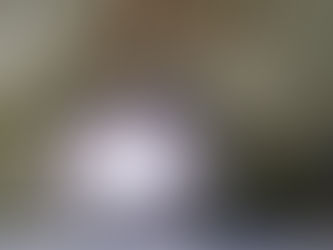 WHY IS A WELL INSULATED ATTIC IMPORTANT?