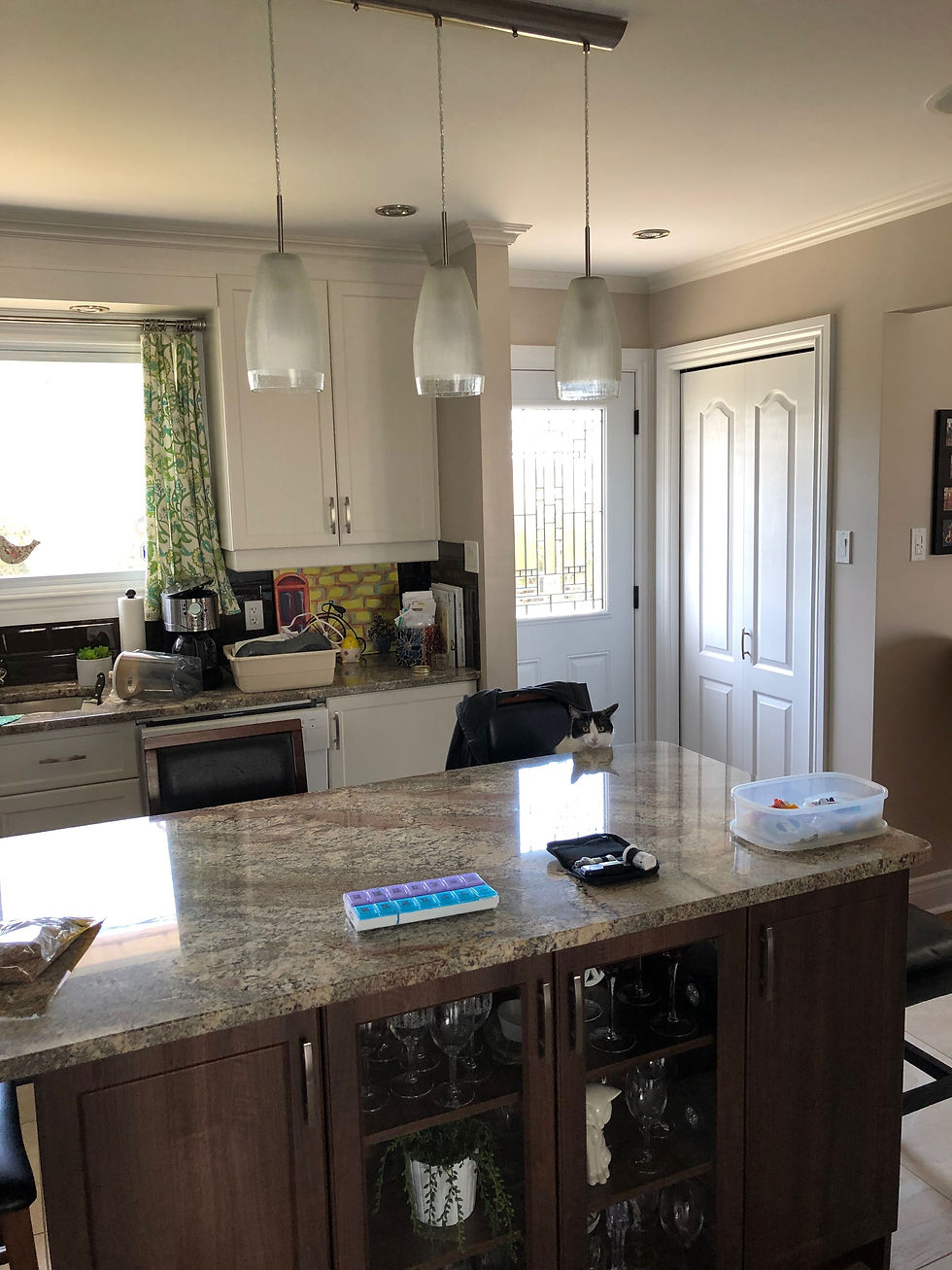 view of kitchen after painting