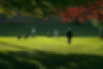Flemingdon Park Golf Club4