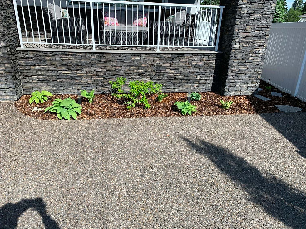 Close-up of cemented pavement constructed alongside a tiny garden area.