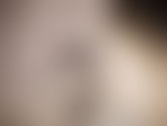 LES FOURMIS CHARPENTIÈRES CONSTITUENT-ELLES UN VICE CACHÉ?