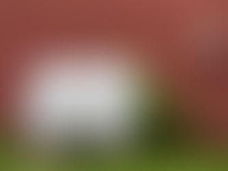 When is the Best Time to Buy Heating Oil?