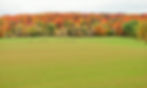 Equipment in sod field