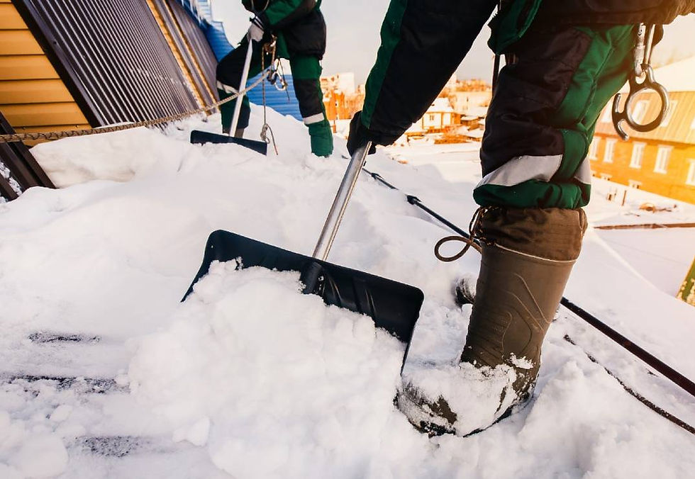 ROOF SNOW REMOVAL