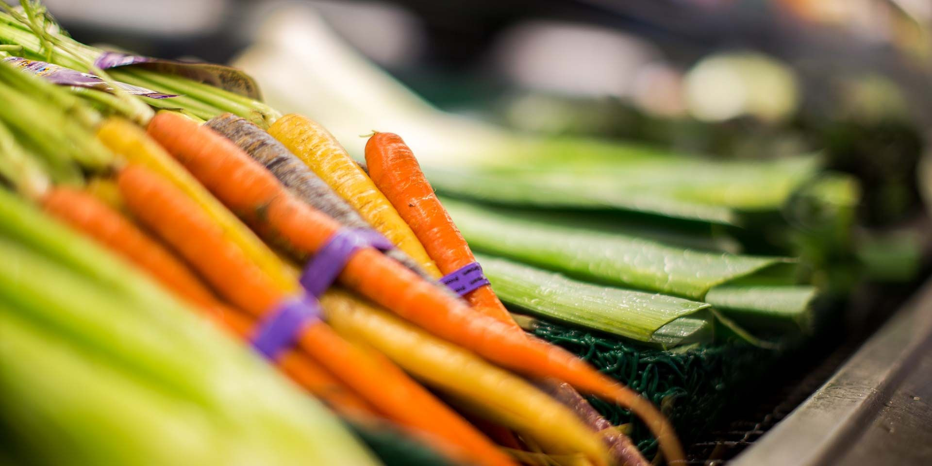 Homesteader Health Gateway logo