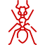 ants