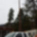 glacier-valley-tree-care-ltd-1