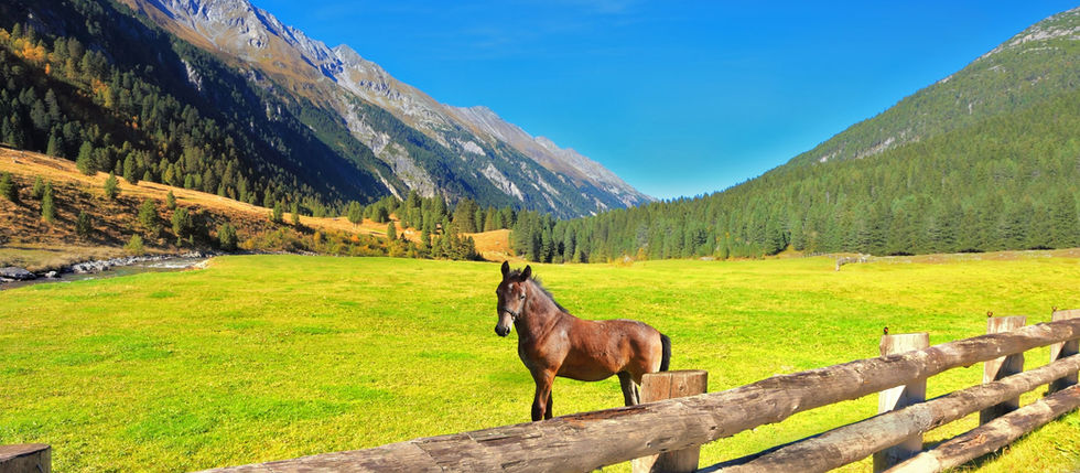 5 Horse Fencing Mistakes to Avoid