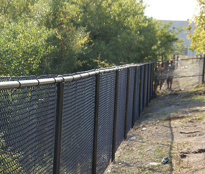 fence in the field