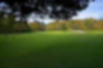 Flemingdon Park Golf Club6