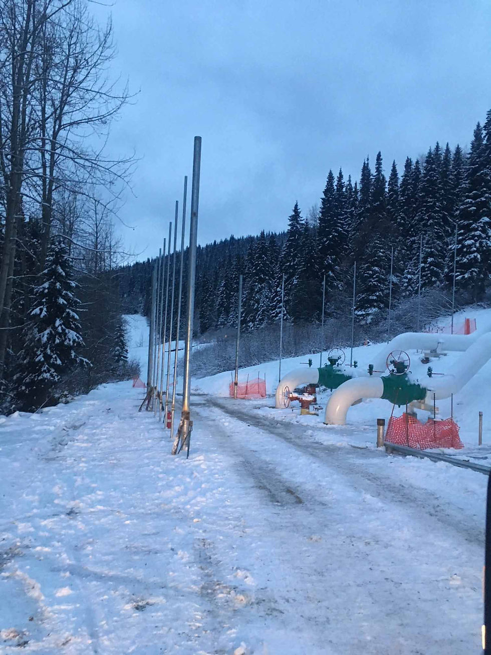 poles