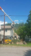 emergencytreeremovalservices1