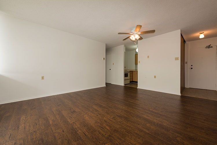 pineview tower 2 bedroom