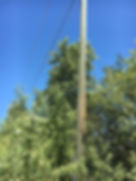 tress