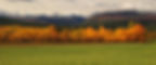 Field in Kanadas