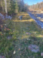 20211108_123126_resized