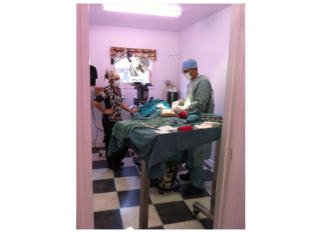 in surgery