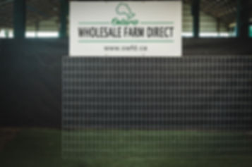 Welded 2”x4” Mesh Panel 16' x 52”